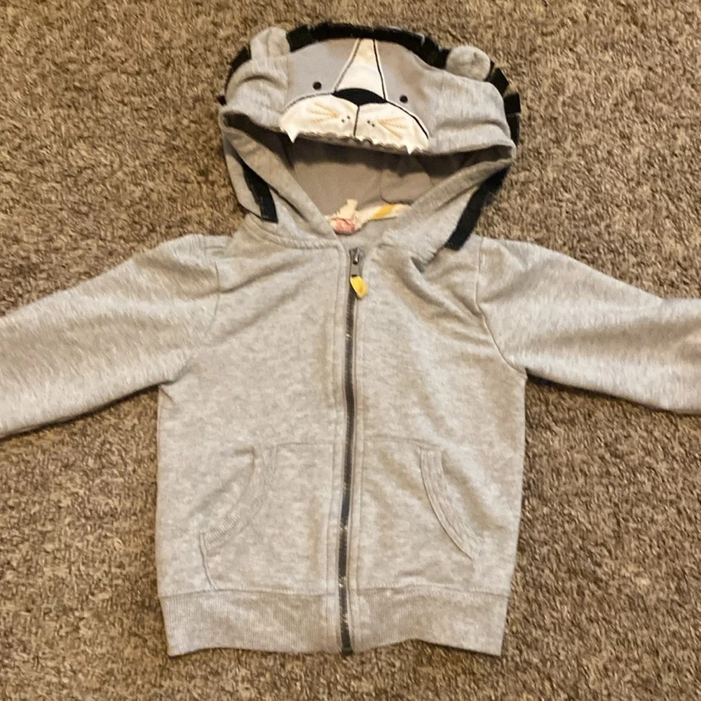 Rorie Whelan Lion Hoodie and T-shirt Set 24M